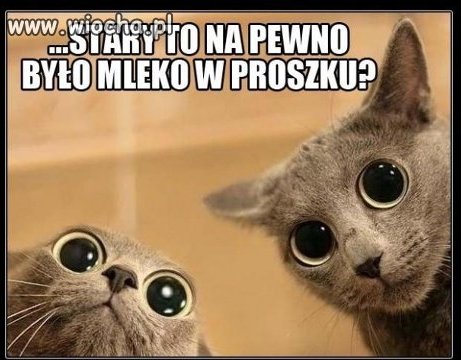 Wyczesane kociaki