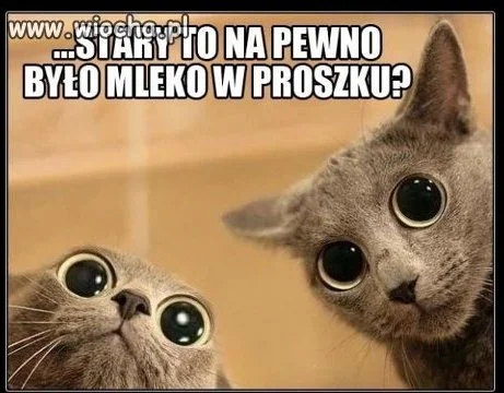 Wyczesane kociaki