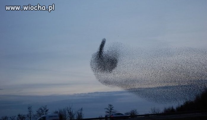 Natura pokazała co o nas myśli.