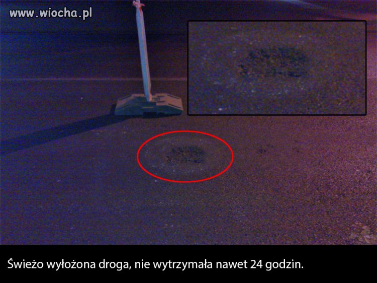 Polska - kraj specjalistów