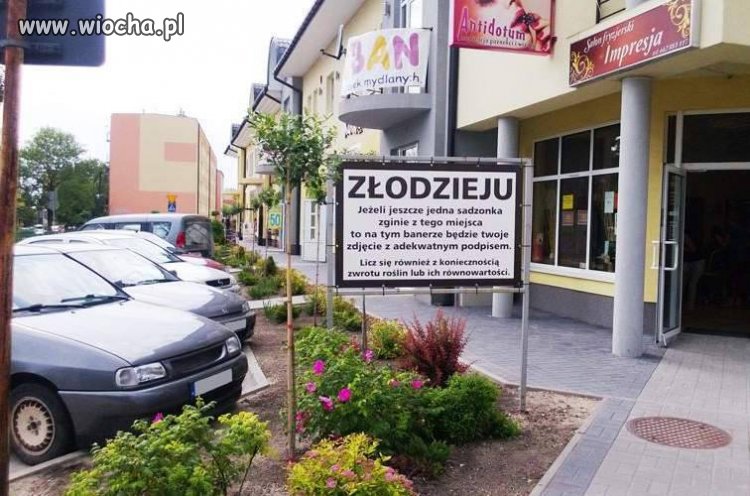 Apel do złodzieja