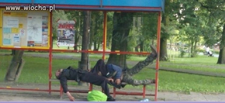 Przystankowe przytulanki
