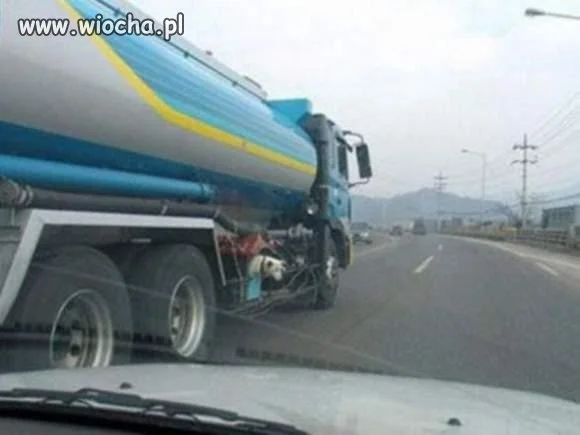 Żal psiaka.