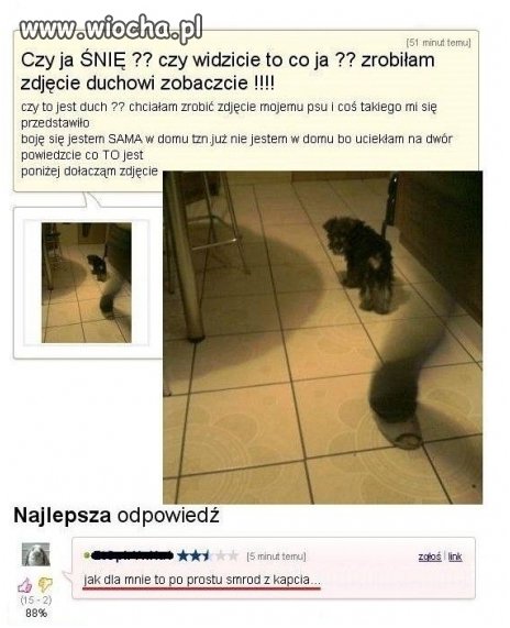 Ona zrobiła zdjęcie duchowi czy śni?