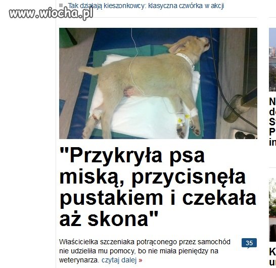 Brak pieniędzy nie tłumaczy zwyrodnialstwa!