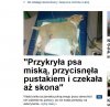 Brak pieniędzy nie tłumaczy zwyrodnialstwa!