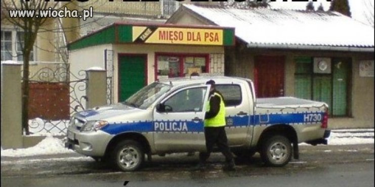 Pies też człowiek-jeść coś musi