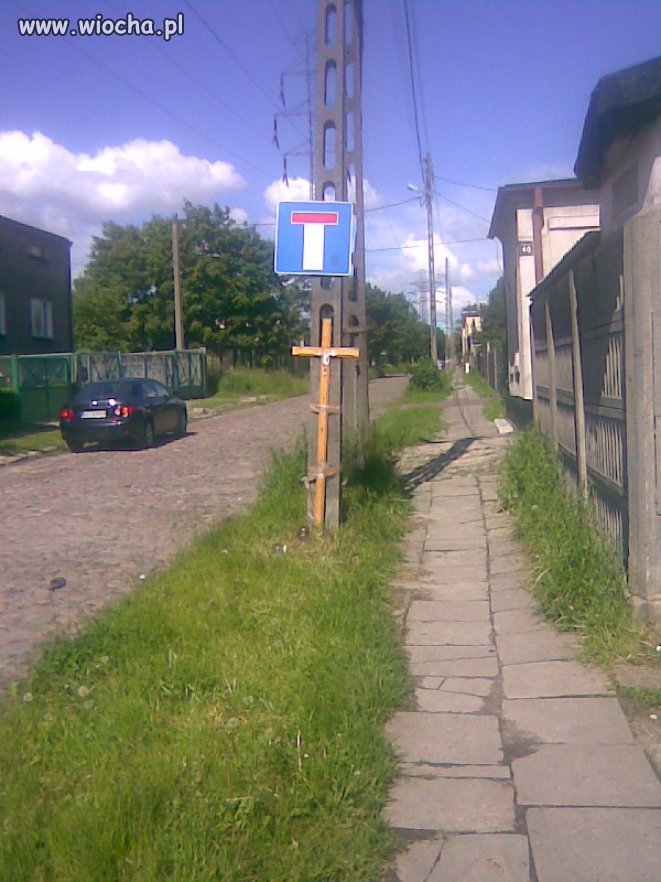 Samochód śmiertelnie potrącił kota mojej sąsiadce 