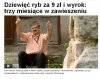 Złowił we własnym stawie dziewięć ryb wartych 9zł