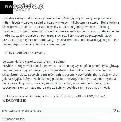 Historyjka  w sam raz na sezon ogórkowy