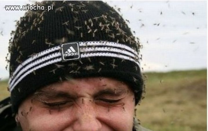Właśnie dlatego woli spędzać lato przed komputerem