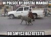 Czemu w Polsce tak atakujo te smycze ? 