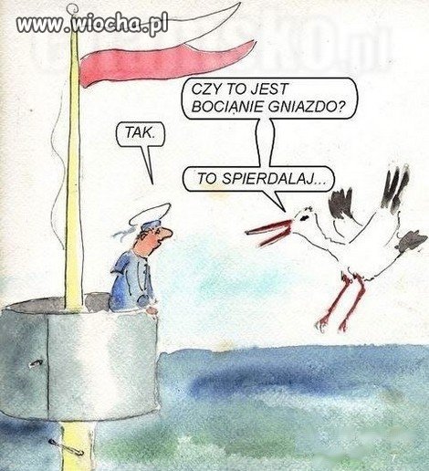 Bocianie gniazdo 