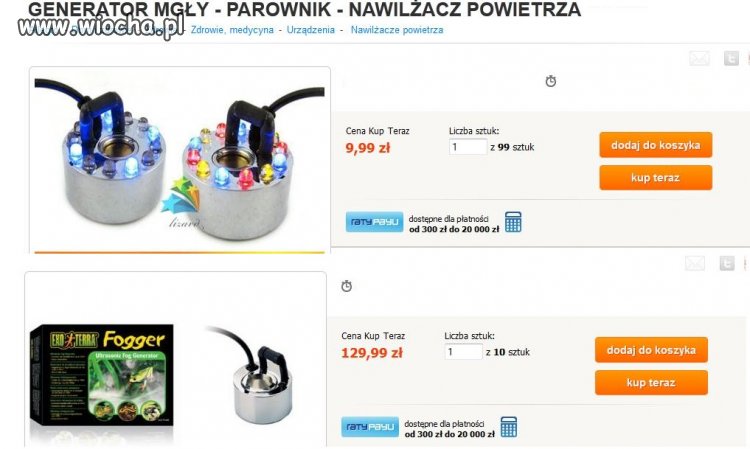 Jak robią z terrarystów idiotów