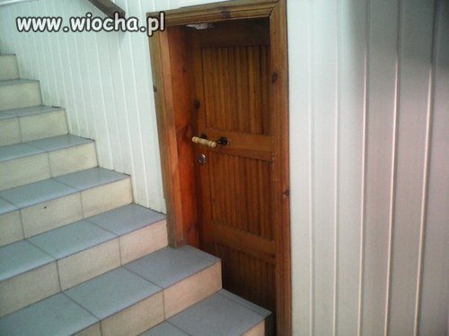 I ktoś tu zabłysnął inteligencją...