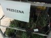 Przecena