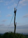 Słup elektryczny