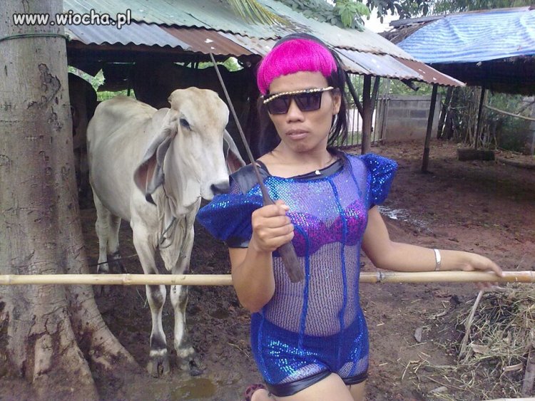 Zdecydowanie sexi 