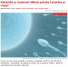 Zaszła w ciążę przez plemniki w basenie...