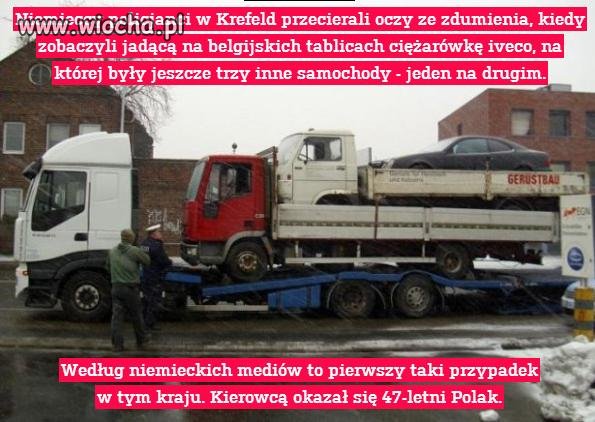 Polak potrafi...