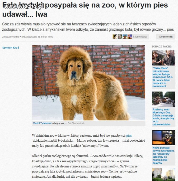 Chińskie Zoo