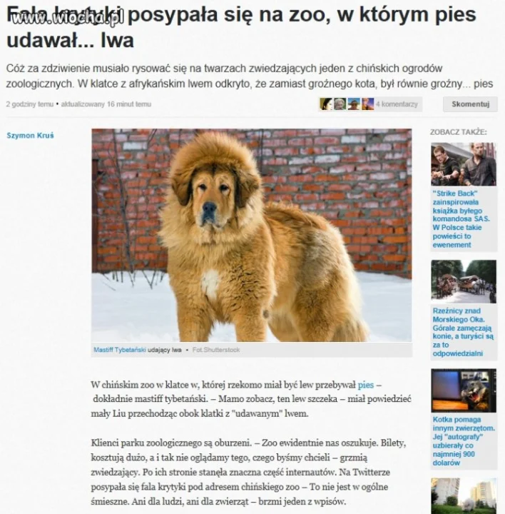 Chińskie Zoo