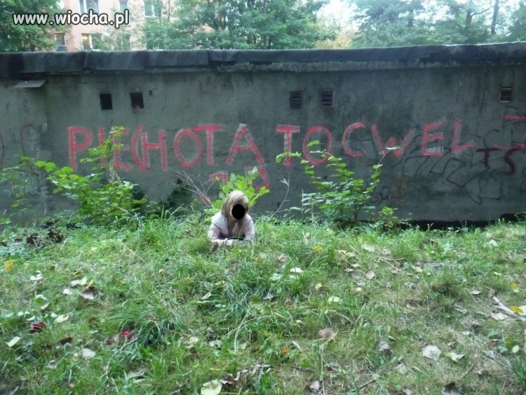Idealne zdjęcie