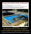 Bo przecież nikt nie lubi wsiadać  