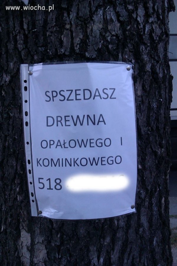 Poprawna polszczyzna