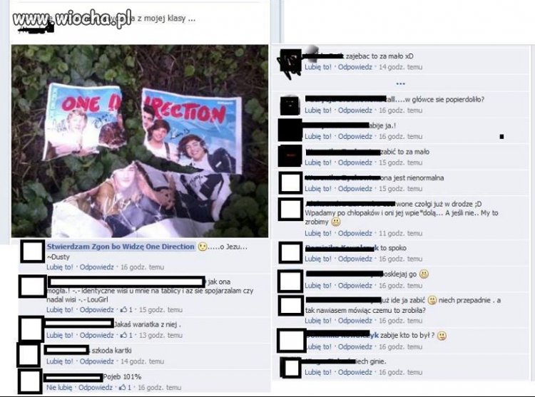 Agresywne fanki 1D