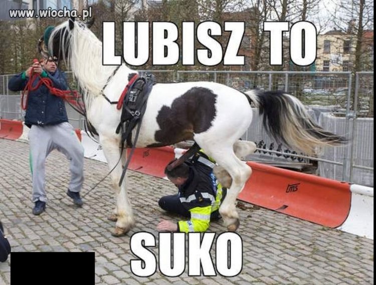 Role się odwróciły 