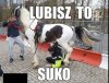 Role się odwróciły 