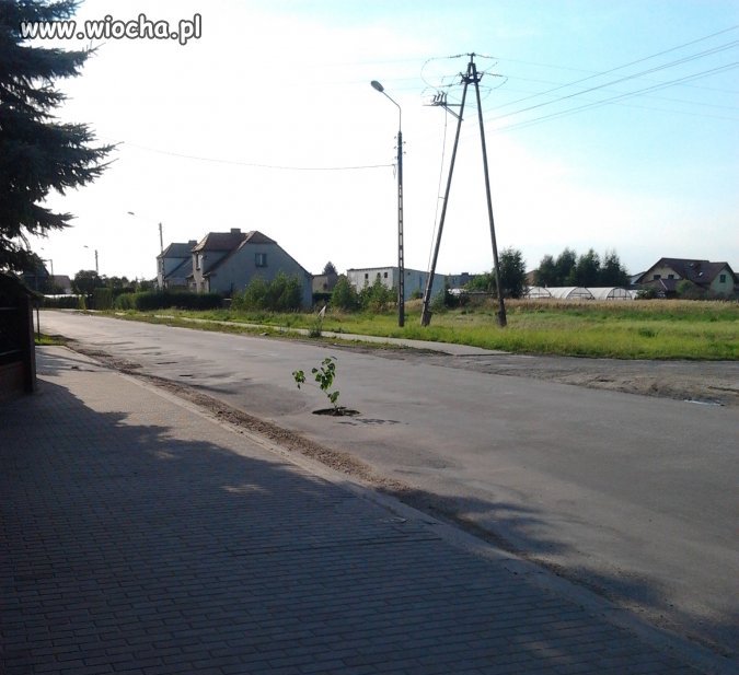 Dziurawy Grudziądz