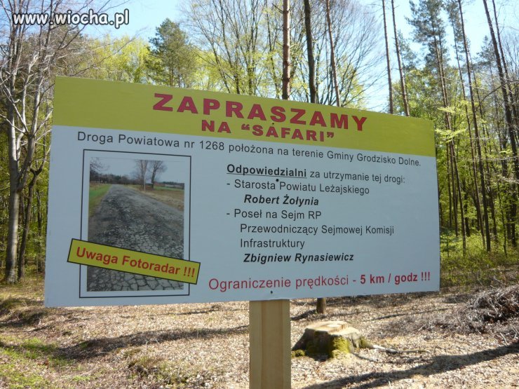 Zaproszenie na Safari 