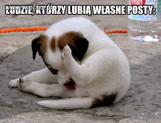 To tak a propos niekończących się wojenek na forum