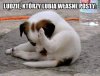To tak a propos niekończących się wojenek na forum