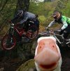 A miała być taka piękna fota...