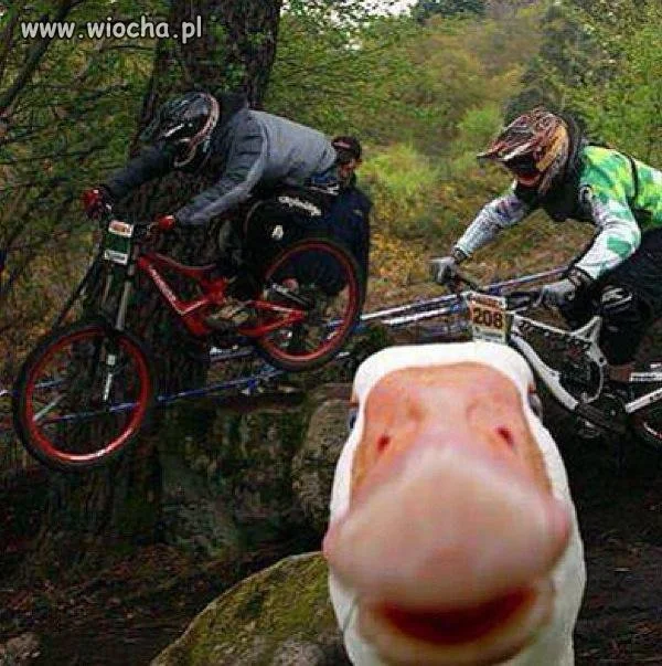 A miała być taka piękna fota...