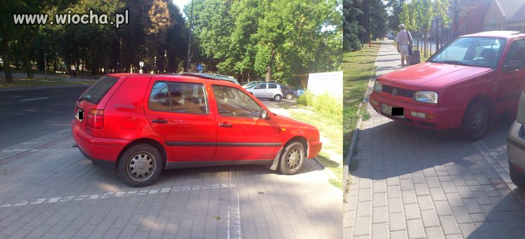 Pogromca chodników