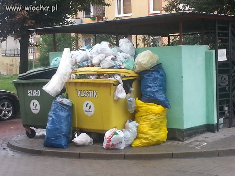 Efekt wprowadzenia