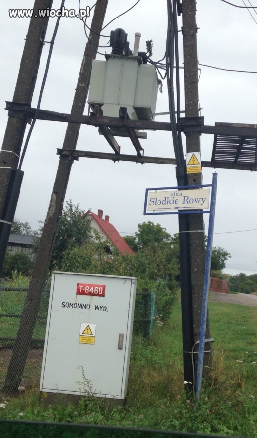 Radni to dopiero mają wyobraźnię