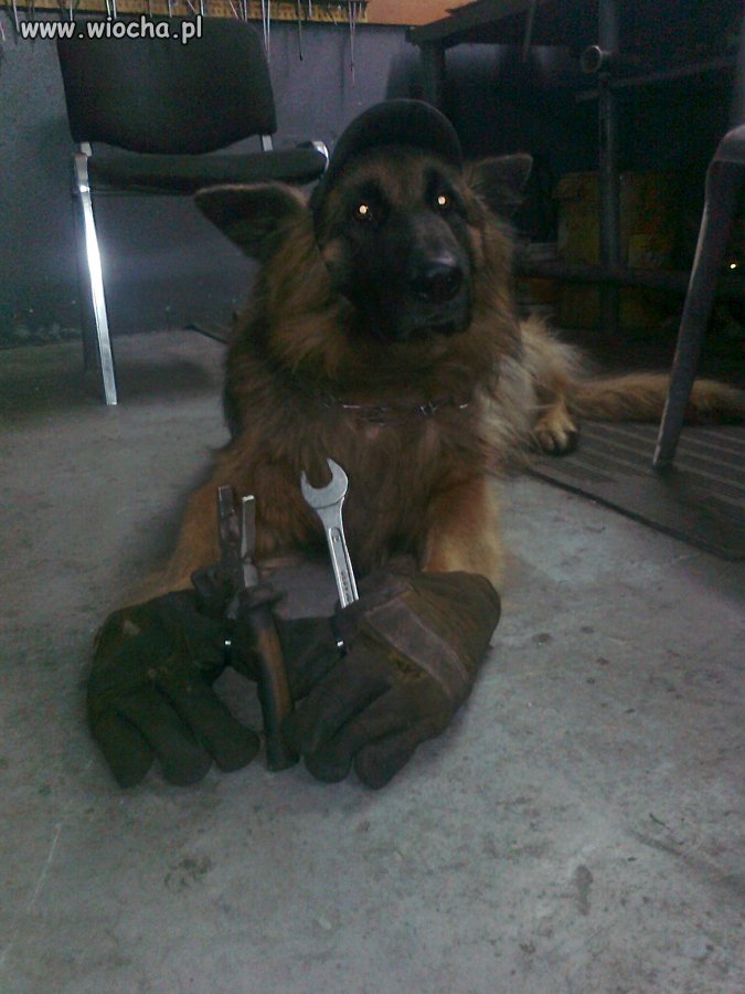 Mechanik za dychę