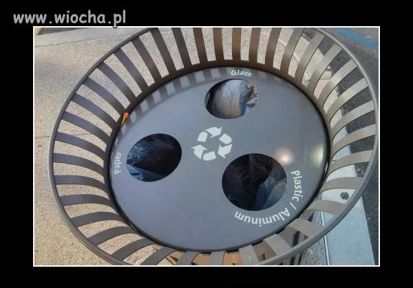 Jeśli chodzi o segregację