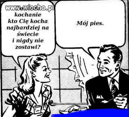 żarcik