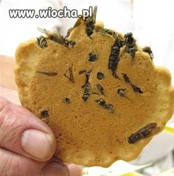 Nie ma to jak domowe wypieki