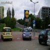 Mistrz kierownicy