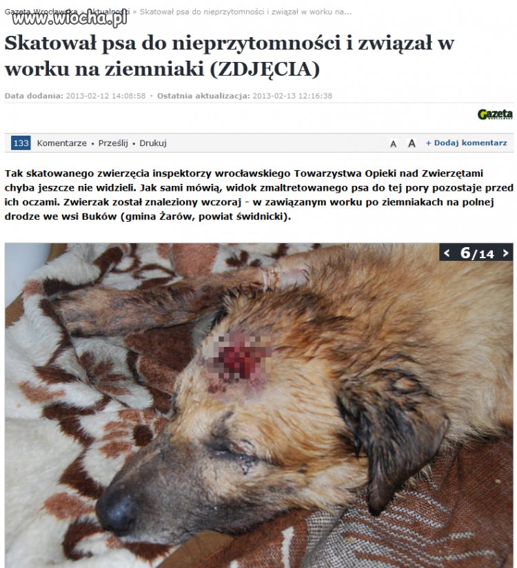Najlepszy przyjaciel człowieka