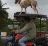 Transport...