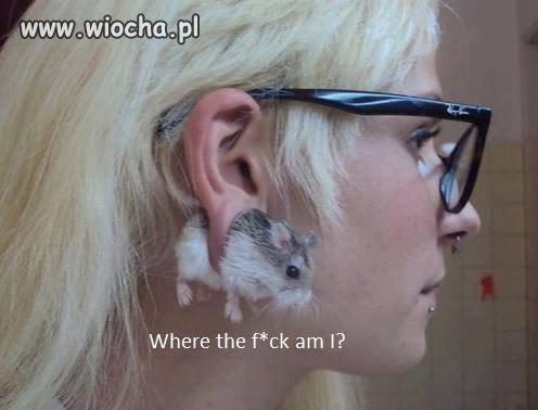 W d*** sobie mogła wsadzić 
