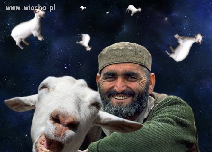 Tak wygląda ich raj